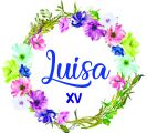 Luísa 15 anos